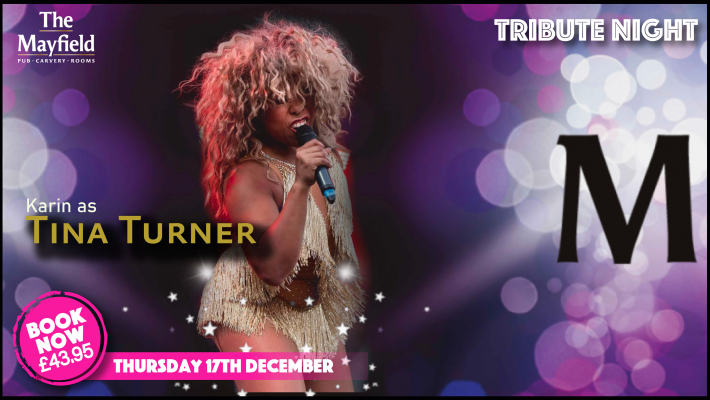 Tribute Party Night: Tina turner